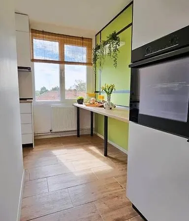 Magic Place In Apartment Timisoara